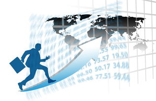 kaiyun网址-中国篮球职业联赛赛事运营风险评估与管理对策，篮球赛事安全风险