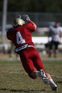 开云体育网站-足球青训进入社区模式拓展非专业球员参与渠道，足球俱乐部青训什么条件